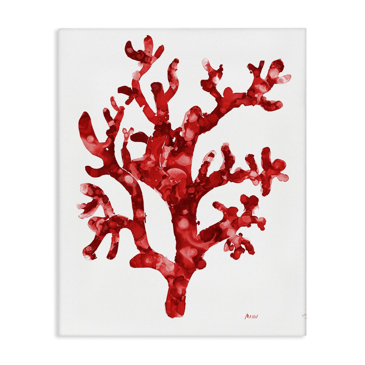 Stupell Industries Red Coral Sprig Canvas Wall Art Design by Patti Mann